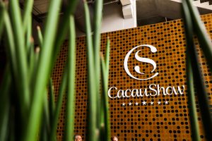 Leia mais sobre o artigo Estratégias de sucesso da Cacau Show para a Páscoa 2024